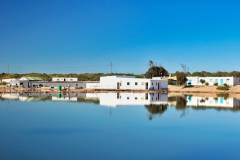 Paternoster Oyster Company